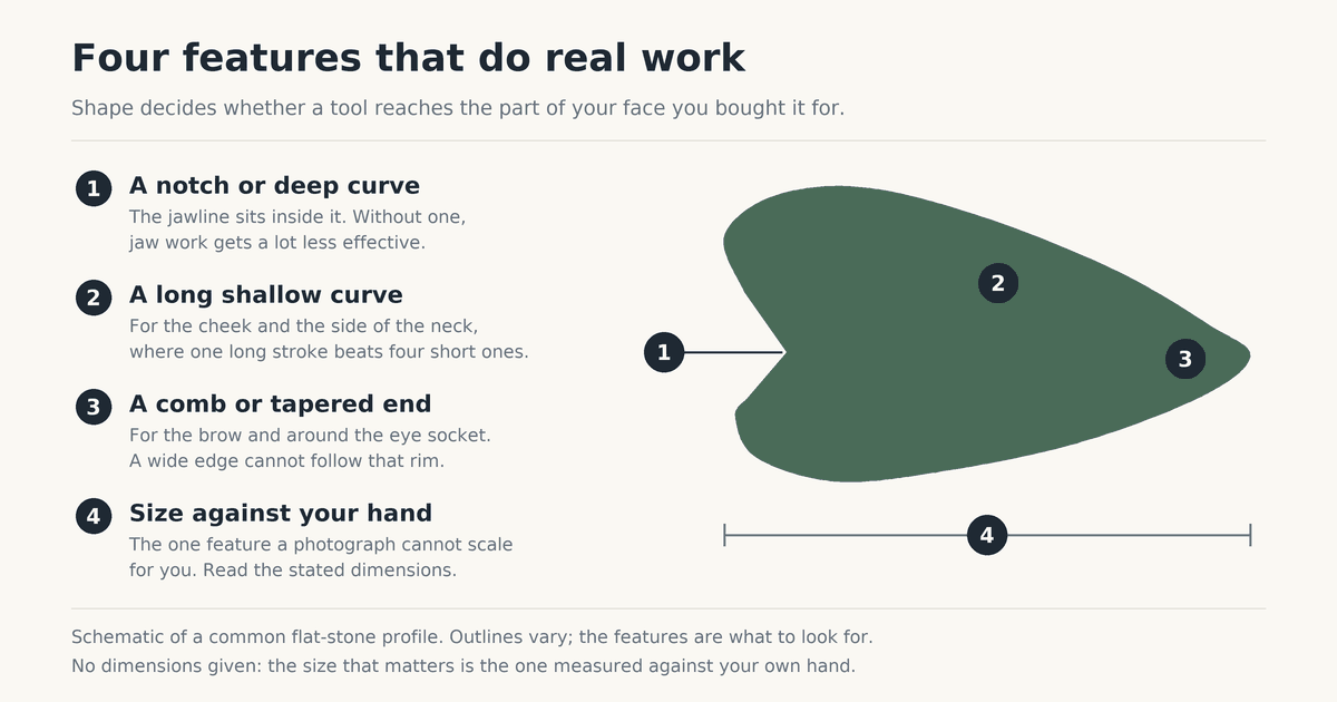 Diagram of a flat gua sha stone with four numbered features: a notch for the jawline, a long shallow curve for the cheek and neck, a tapered end for the brow and eye socket, and overall width to judge against your own hand.